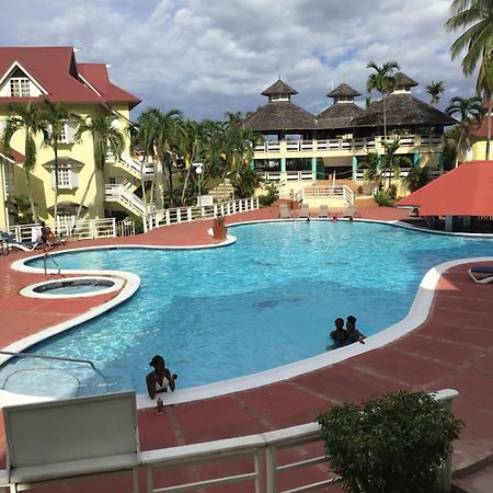 Mystic Ridge Paradise Ocho Rios Exteriör bild